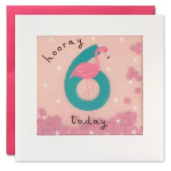 AGE 6 BIRTHDAY CARD PP3277