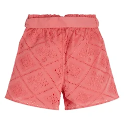 GUESS SHORTS J3GD04