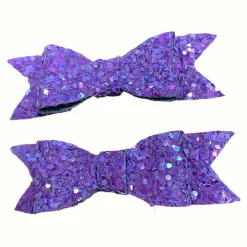 2X HAIR CLIPS HC12